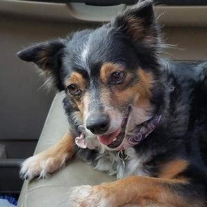 Meet your Posher, Chelsey